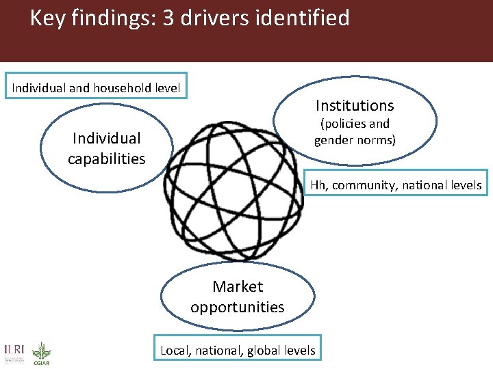 Key findings: 3 drivers identified Individual and household level Institutions (policies and gender norms)