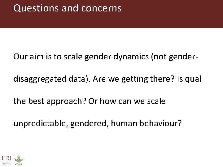 Questions and concerns Our aim is to scale gender dynamics (not genderdisaggregated data). Are