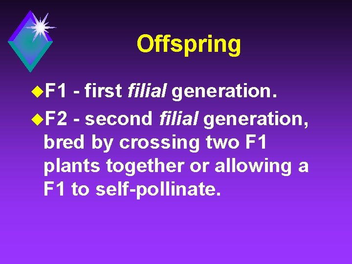 Offspring u. F 1 - first filial generation. u. F 2 - second filial