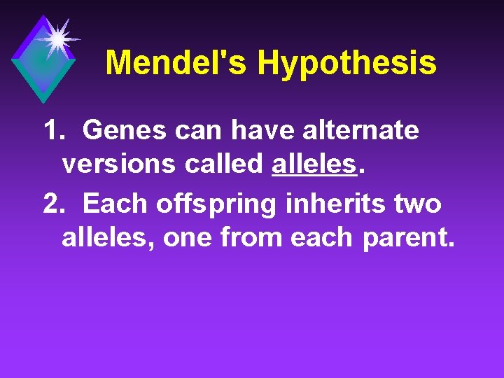 Mendel's Hypothesis 1. Genes can have alternate versions called alleles. 2. Each offspring inherits