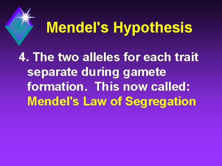 Mendel's Hypothesis 4. The two alleles for each trait separate during gamete formation. This