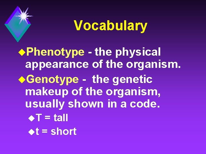 Vocabulary u. Phenotype - the physical appearance of the organism. u. Genotype - the