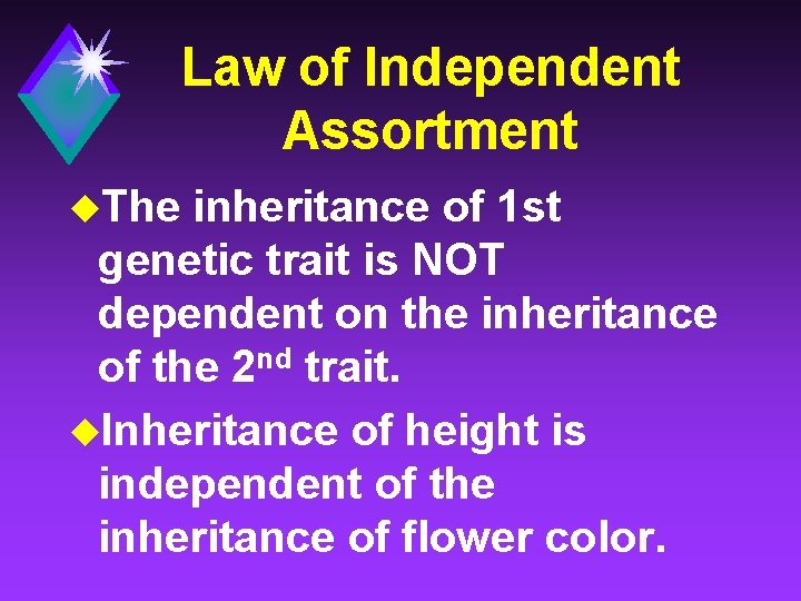 Law of Independent Assortment u. The inheritance of 1 st genetic trait is NOT