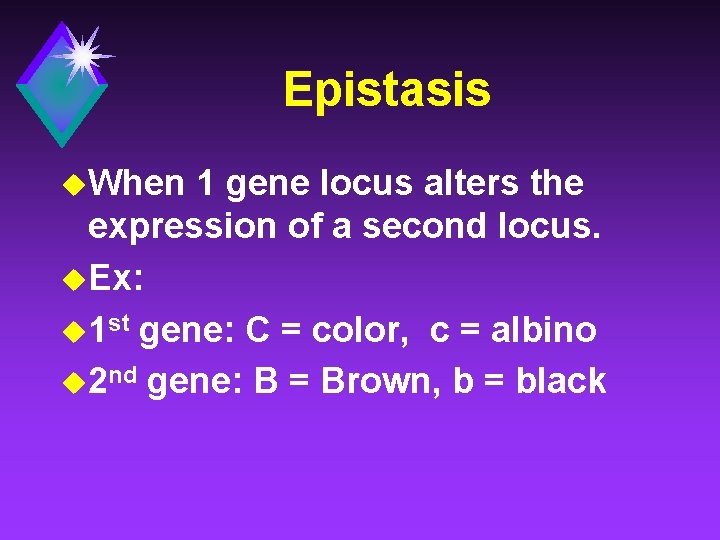 Epistasis u. When 1 gene locus alters the expression of a second locus. u.