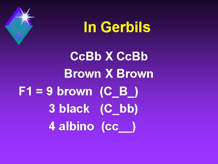 In Gerbils Cc. Bb X Cc. Bb Brown X Brown F 1 = 9