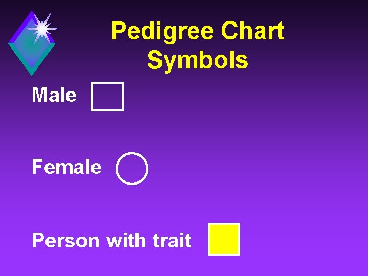 Pedigree Chart Symbols Male Female Person with trait 