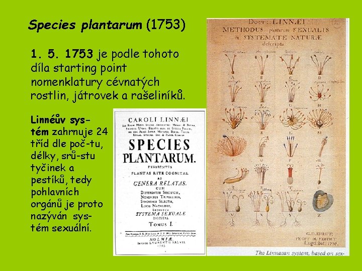 Species plantarum (1753) 1. 5. 1753 je podle tohoto díla starting point nomenklatury cévnatých Species plantarum (1753) 1. 5. 1753 je podle tohoto díla starting point nomenklatury cévnatých