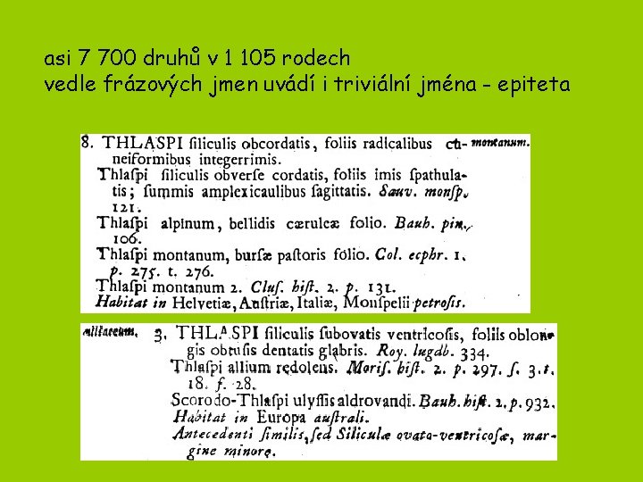 asi 7 700 druhů v 1 105 rodech vedle frázových jmen uvádí i triviální asi 7 700 druhů v 1 105 rodech vedle frázových jmen uvádí i triviální