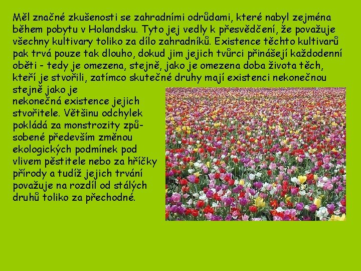 Měl značné zkušenosti se zahradními odrůdami, které nabyl zejména během pobytu v Holandsku. Tyto Měl značné zkušenosti se zahradními odrůdami, které nabyl zejména během pobytu v Holandsku. Tyto