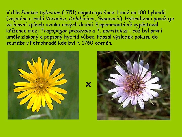 V díle Plantae hybridae (1751) registruje Karel Linné na 100 hybridů (zejména u rodů V díle Plantae hybridae (1751) registruje Karel Linné na 100 hybridů (zejména u rodů