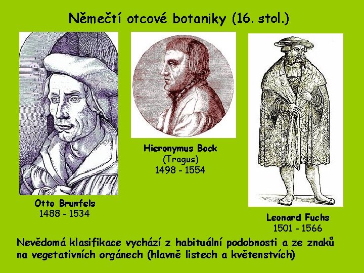 Němečtí otcové botaniky (16. stol. ) Hieronymus Bock (Tragus) 1498 - 1554 Otto Brunfels Němečtí otcové botaniky (16. stol. ) Hieronymus Bock (Tragus) 1498 - 1554 Otto Brunfels