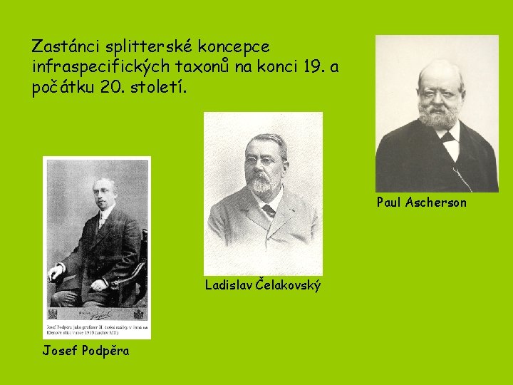 Zastánci splitterské koncepce infraspecifických taxonů na konci 19. a počátku 20. století. Paul Ascherson Zastánci splitterské koncepce infraspecifických taxonů na konci 19. a počátku 20. století. Paul Ascherson
