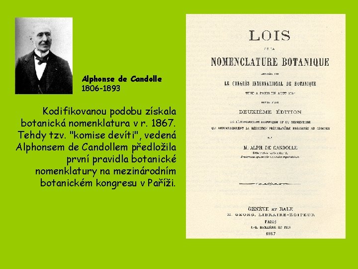 Alphonse de Candolle 1806 -1893 Kodifikovanou podobu získala botanická nomenklatura v r. 1867. Tehdy Alphonse de Candolle 1806 -1893 Kodifikovanou podobu získala botanická nomenklatura v r. 1867. Tehdy