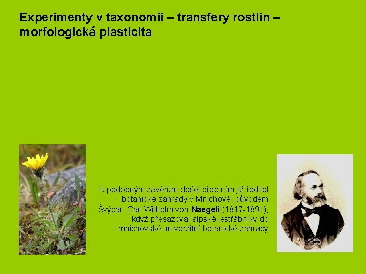Experimenty v taxonomii – transfery rostlin – morfologická plasticita K podobným závěrům došel před Experimenty v taxonomii – transfery rostlin – morfologická plasticita K podobným závěrům došel před