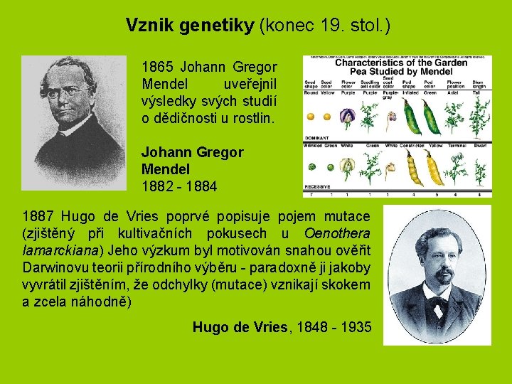 Vznik genetiky (konec 19. stol. ) 1865 Johann Gregor Mendel uveřejnil výsledky svých studií Vznik genetiky (konec 19. stol. ) 1865 Johann Gregor Mendel uveřejnil výsledky svých studií