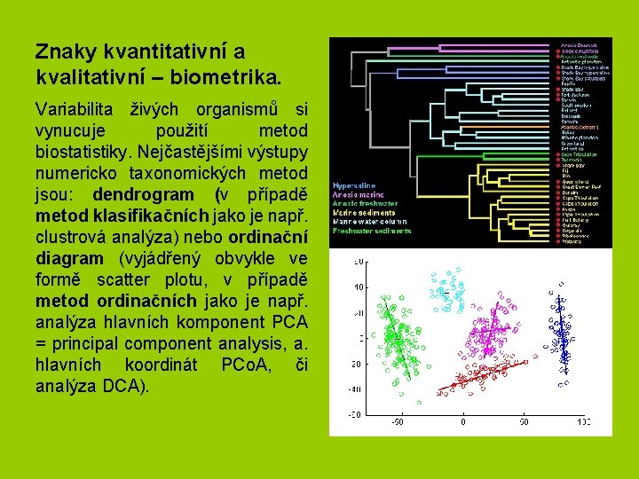 Znaky kvantitativní a kvalitativní – biometrika. Variabilita živých organismů si vynucuje použití metod biostatistiky. Znaky kvantitativní a kvalitativní – biometrika. Variabilita živých organismů si vynucuje použití metod biostatistiky.