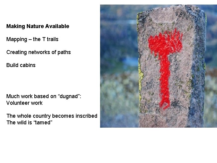 Making Nature Available Mapping – the T trails Creating networks of paths Build cabins