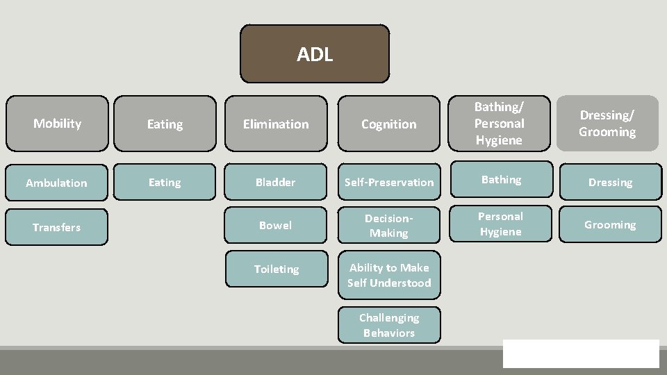 ADL Mobility Eating Elimination Cognition Bathing/ Personal Hygiene Ambulation Eating Bladder Self-Preservation Bathing Dressing