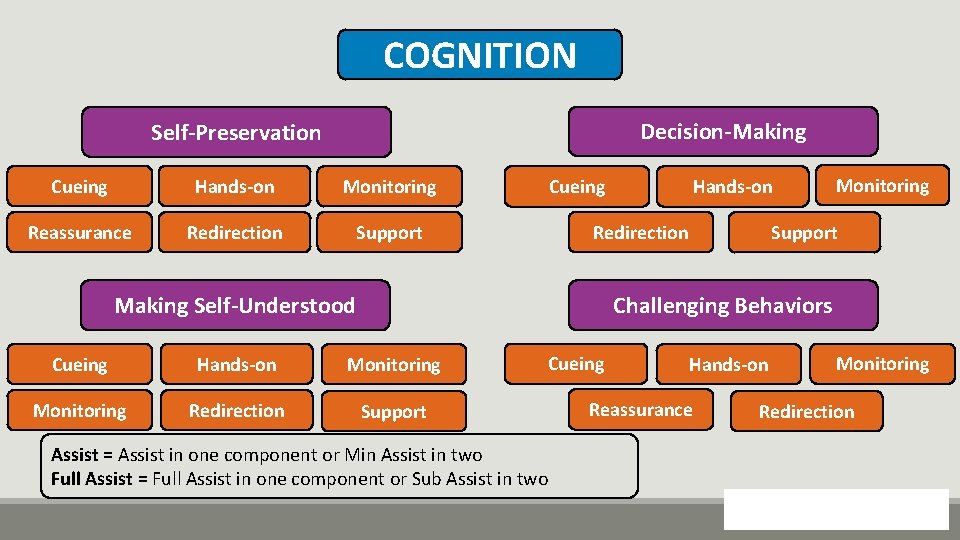 COGNITION Decision-Making Self-Preservation Cueing Hands-on Monitoring Reassurance Redirection Support Hands-on Cueing Redirection Monitoring Support