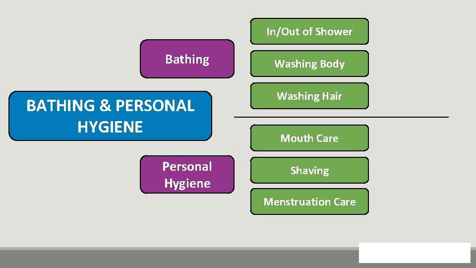 In/Out of Shower Bathing BATHING & PERSONAL HYGIENE Personal Hygiene Washing Body Washing Hair