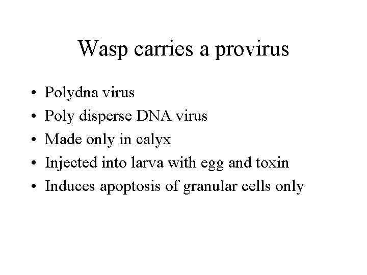 Wasp carries a provirus • • • Polydna virus Poly disperse DNA virus Made