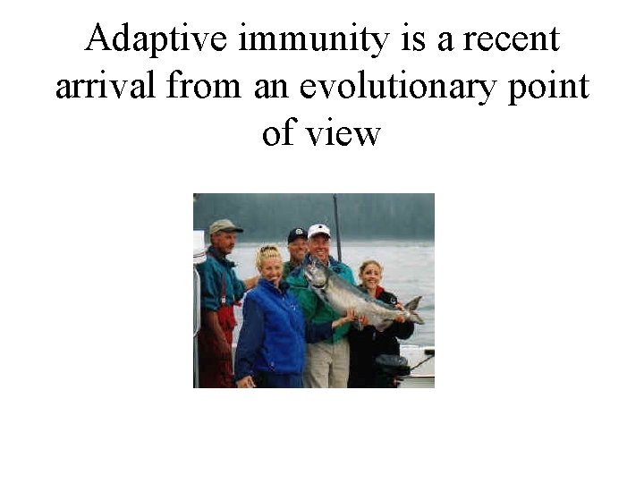 Adaptive immunity is a recent arrival from an evolutionary point of view 