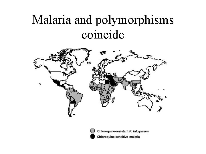 Malaria and polymorphisms coincide 