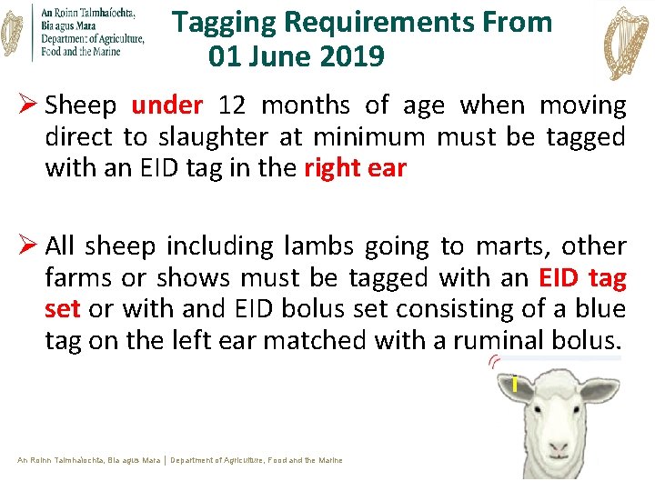 Tagging Requirements From 01 June 2019 Ø Sheep under 12 months of age when Tagging Requirements From 01 June 2019 Ø Sheep under 12 months of age when