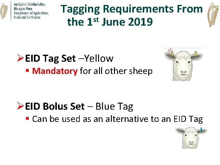 Tagging Requirements From the 1 st June 2019 ØEID Tag Set –Yellow § Mandatory Tagging Requirements From the 1 st June 2019 ØEID Tag Set –Yellow § Mandatory