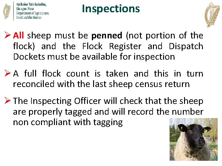 Inspections Ø All sheep must be penned (not portion of the flock) and the Inspections Ø All sheep must be penned (not portion of the flock) and the