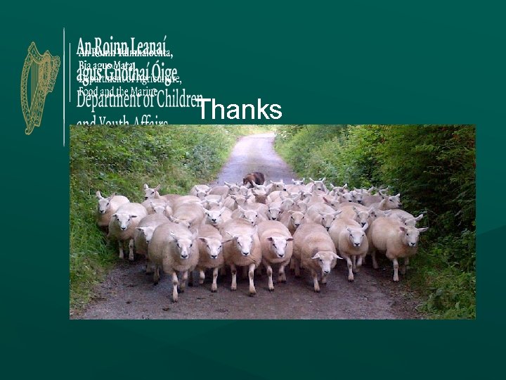 Thanks Thanks
