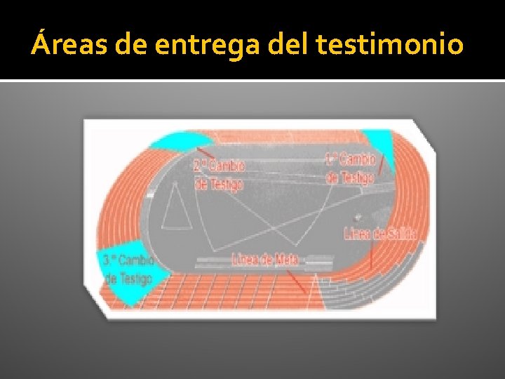 Áreas de entrega del testimonio 