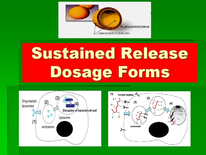 Sustained Release Dosage Forms 