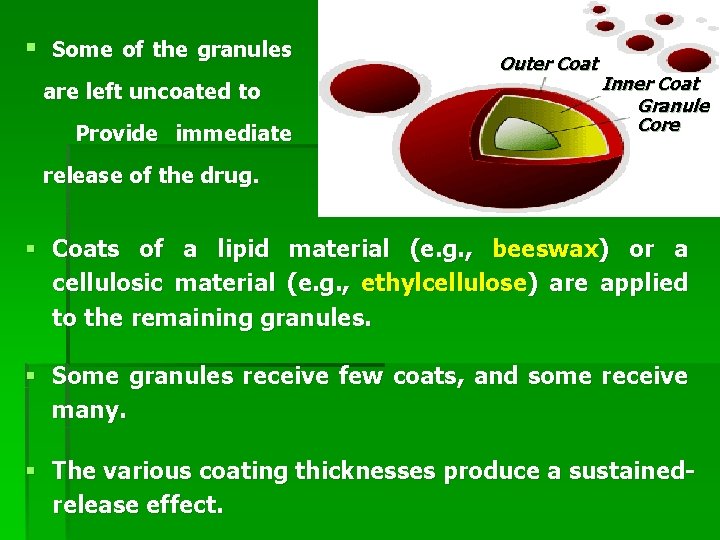 § Some of the granules are left uncoated to Provide immediate Outer Coat Inner