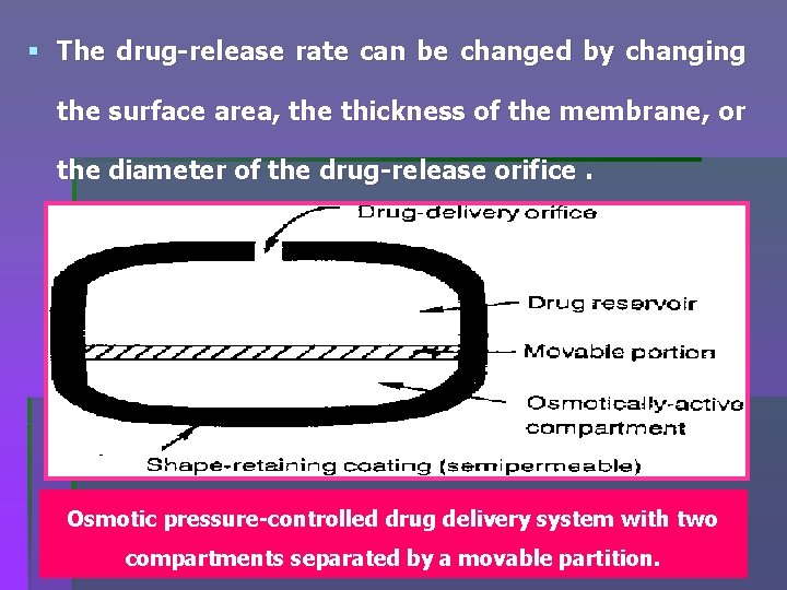 § The drug release rate can be changed by changing the surface area, the