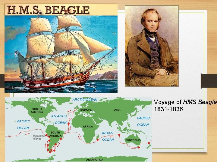 Voyage of HMS Beagle 1831 -1836 