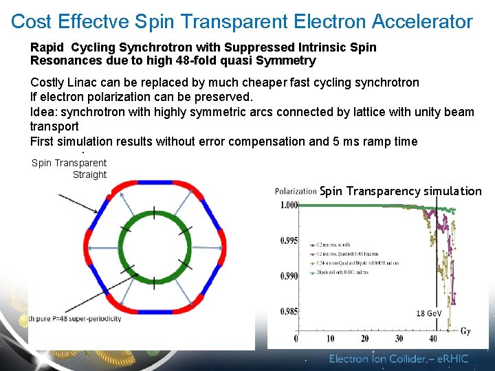 Cost Effectve Spin Transparent Electron Accelerator Rapid Cycling Synchrotron with Suppressed Intrinsic Spin Resonances