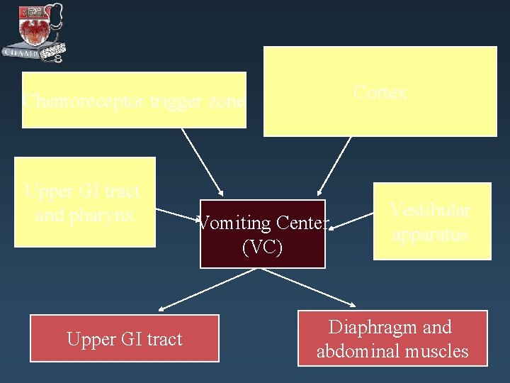 Cortex Chemoreceptor trigger zone Upper GI tract and pharynx Upper GI tract Vomiting Center