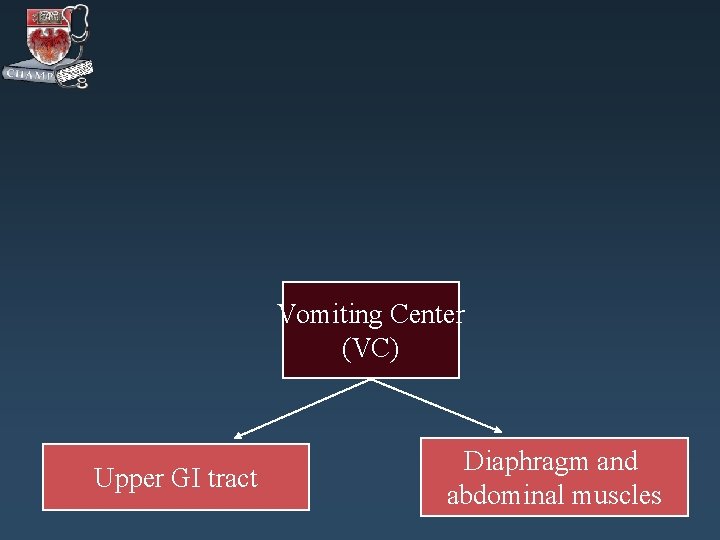 Vomiting Center (VC) Upper GI tract Diaphragm and abdominal muscles 