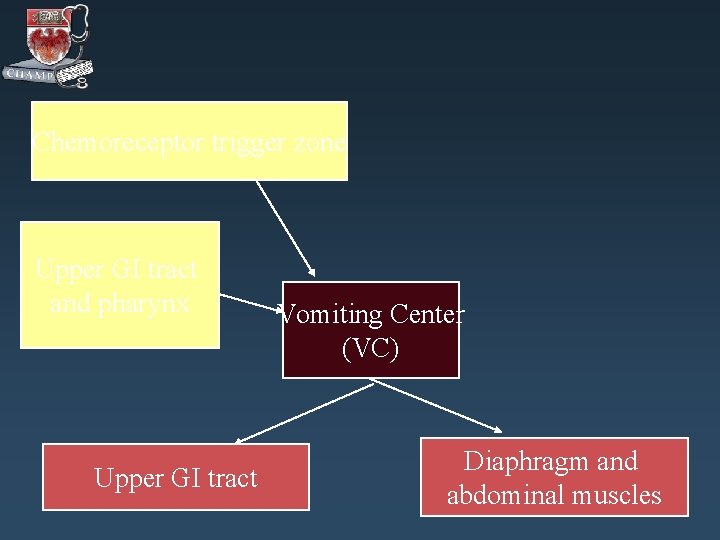 Chemoreceptor trigger zone Upper GI tract and pharynx Upper GI tract Vomiting Center (VC)