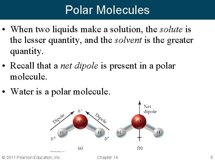 Polar Molecules • When two liquids make a solution, the solute is the lesser Polar Molecules • When two liquids make a solution, the solute is the lesser