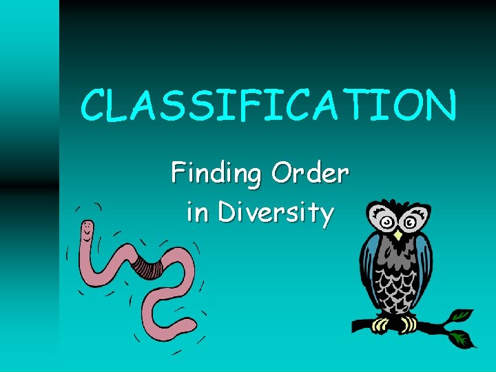 CLASSIFICATION Finding Order in Diversity 