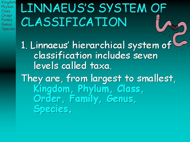 Kingdom Phylum Class Order Family Genus Species LINNAEUS’S SYSTEM OF CLASSIFICATION 1. Linnaeus’ hierarchical