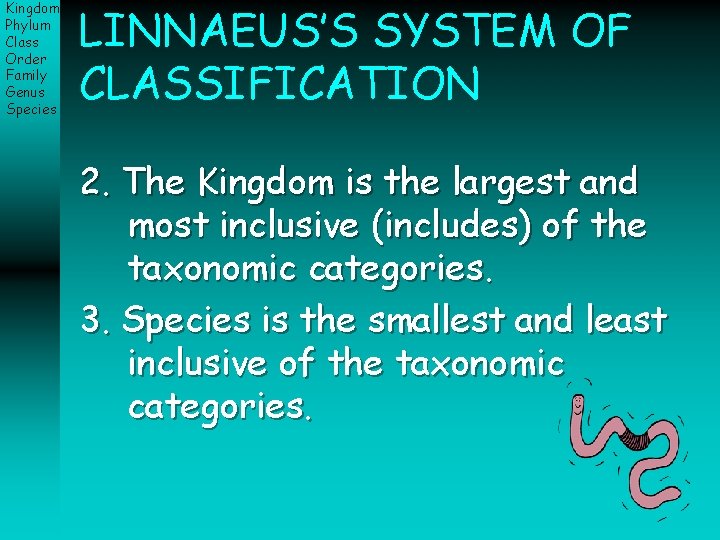 Kingdom Phylum Class Order Family Genus Species LINNAEUS’S SYSTEM OF CLASSIFICATION 2. The Kingdom