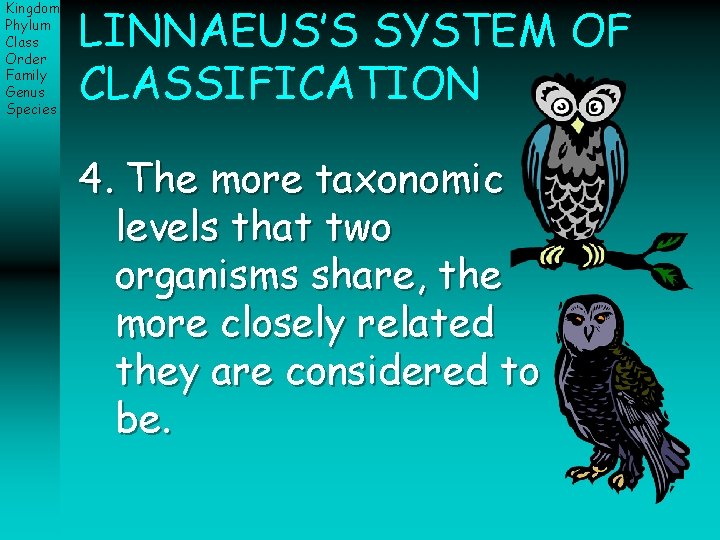 Kingdom Phylum Class Order Family Genus Species LINNAEUS’S SYSTEM OF CLASSIFICATION 4. The more