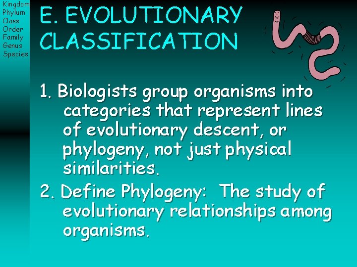 Kingdom Phylum Class Order Family Genus Species E. EVOLUTIONARY CLASSIFICATION 1. Biologists group organisms