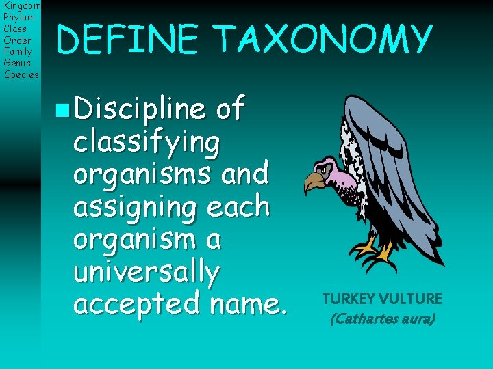 Kingdom Phylum Class Order Family Genus Species DEFINE TAXONOMY n Discipline of classifying organisms