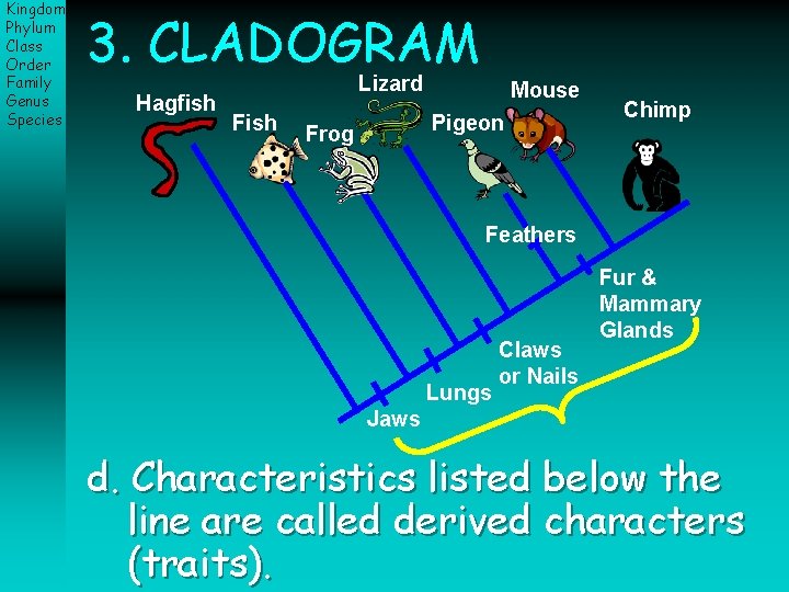 Kingdom Phylum Class Order Family Genus Species 3. CLADOGRAM Hagfish Lizard Fish Mouse Pigeon