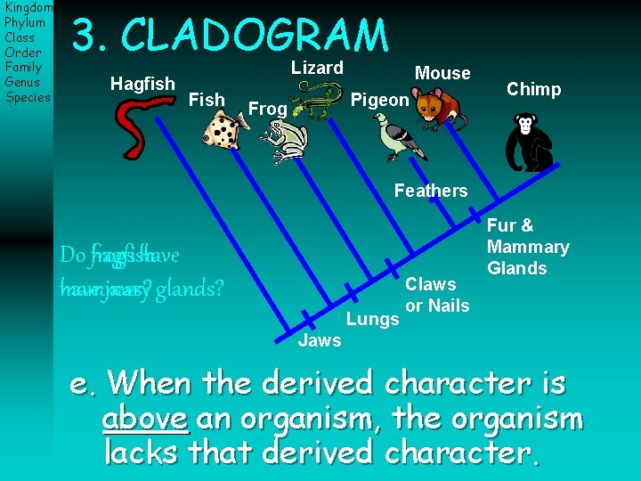 Kingdom Phylum Class Order Family Genus Species 3. CLADOGRAM Hagfish Lizard Fish Mouse Pigeon