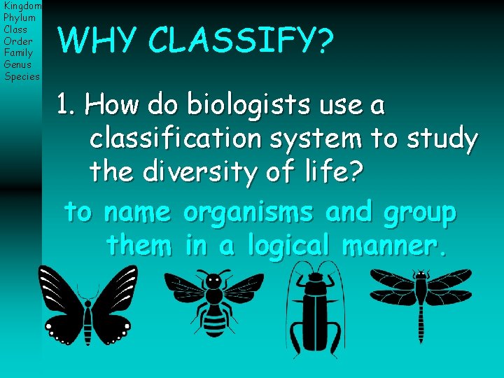 Kingdom Phylum Class Order Family Genus Species WHY CLASSIFY? 1. How do biologists use